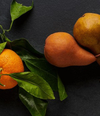 Fruity & Citrus