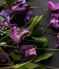Floral