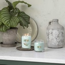 Summer Scents / Yankee Candle