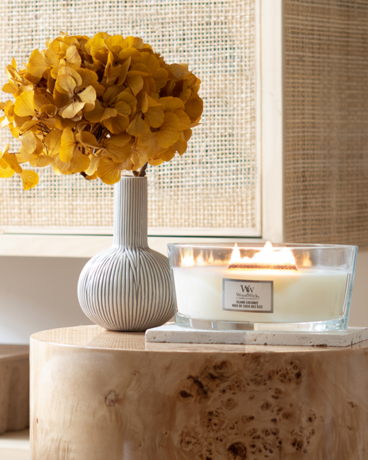 [76115E] WW Island Coconut Ellipse