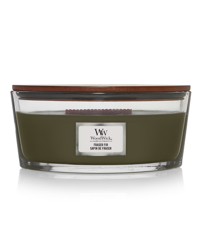 [76175E] WW Frasier Fir Ellipse