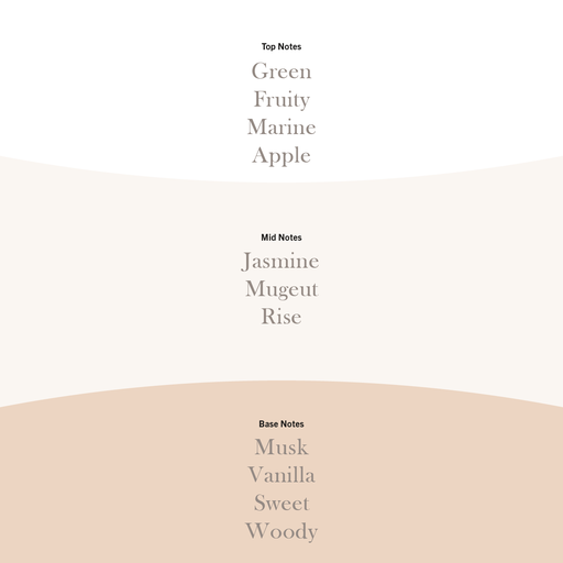 [76191E] WW Vanilla & Sea Salt Ellipse