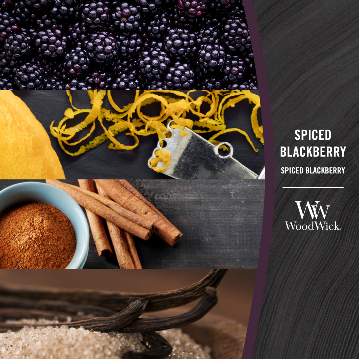 [93078E] WW Spiced Blackberry Large