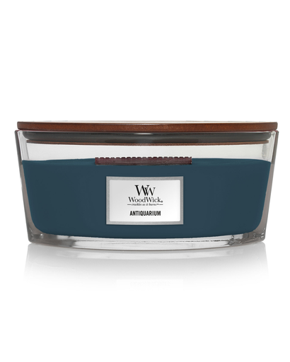 [1759809E] WW Antiquarium Ellipse 