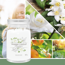 [1630696E] YC White Gardenia Signature Large Jar