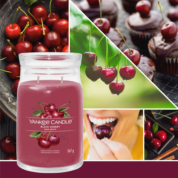 [1701380E] YC Black Cherry Signature Large Jar