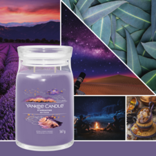 [1749347E] YC Stargazing Signature Large Jar 