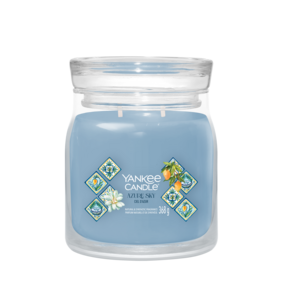 [2642889E] YC Azure Sky Signature Medium Jar