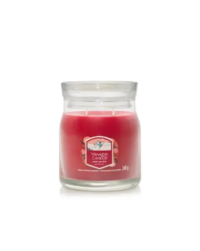 [2653150E] YC Santa On Skis Signature Medium Jar