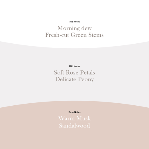 [2670673E] WW Rose Blush Large