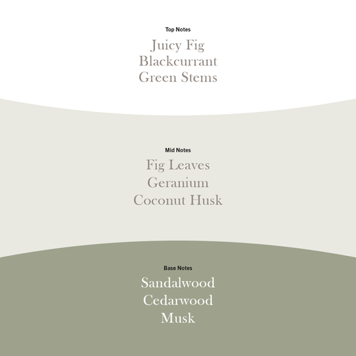 [2674136E] WW Verdant Fig Large 