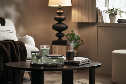 [2674410E] WW Verdant Fig Medium