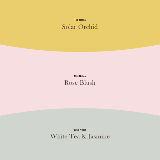 [2674546E] WW Trilogy Floral Blossoms Large