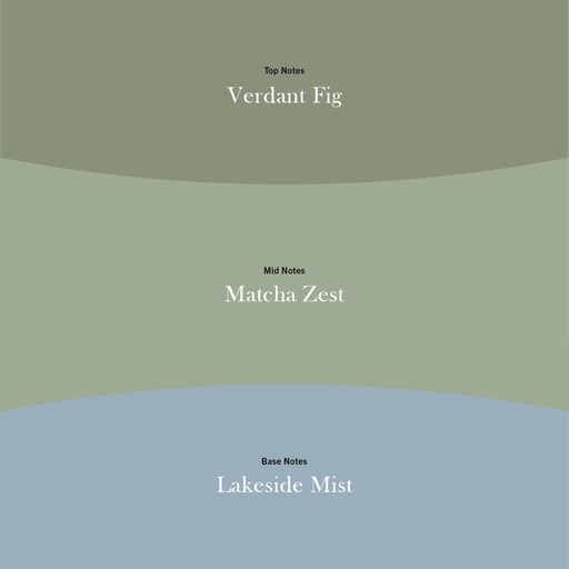 [2674464E] WW Trilogy Verdant Woods Medium