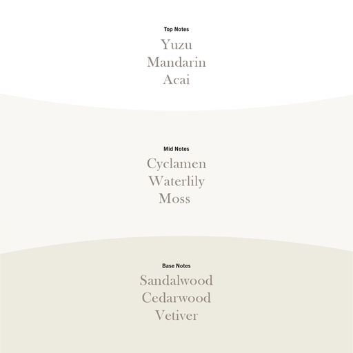 [2238141] WW Yuzu Vetiver Medium