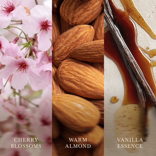 [2238135] WW Cherry Blossom & Vanilla Medium