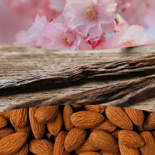 [2238136] WW Cherry Blossom & Vanilla Mini