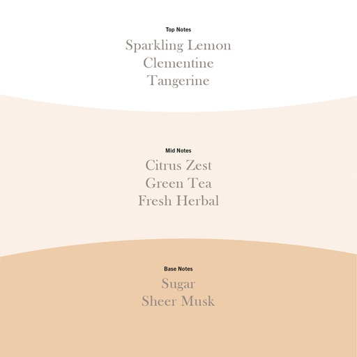 [2670693E] WW Tangerine & Citron Ellipse 