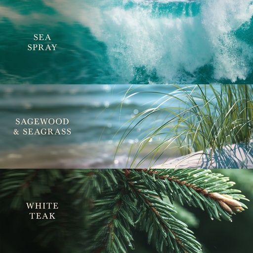[2674544E] WW Trilogy Driftwood Shores Large