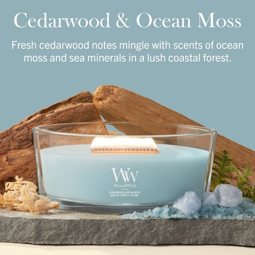 [2238143] WW Cedarwood & Ocean Moss Ellipse