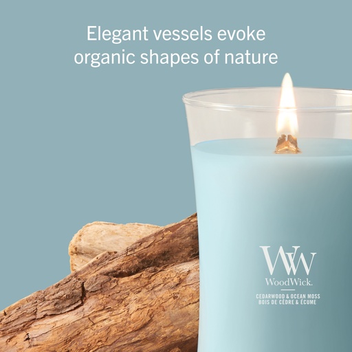 [2238140] WW Cedarwood & Ocean Moss Large