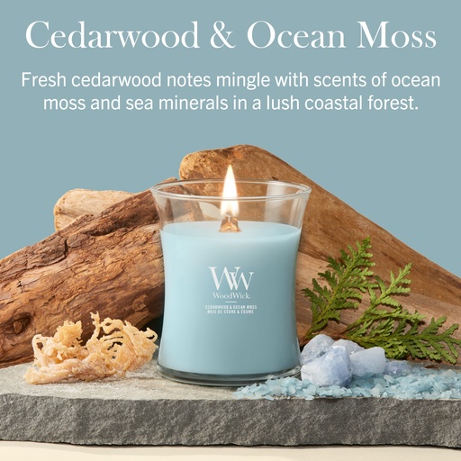 [2238120] WW Cedarwood & Ocean Moss Medium