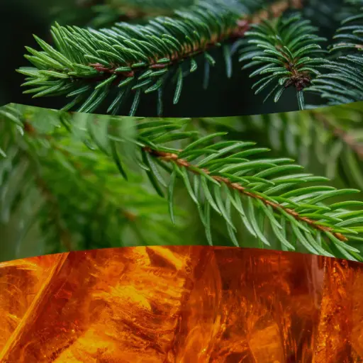 [2674131E] Ww Frasier Fir Large