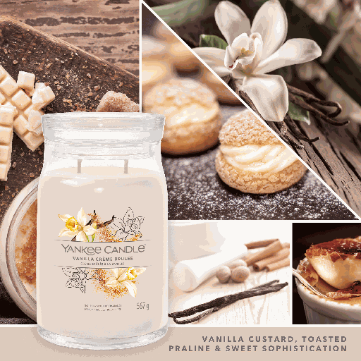 [1630049E] YC Vanilla Creme Brulee Signature Large Tumbler