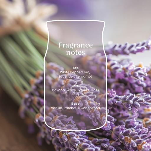 [2671949E] YC Dried Lavender & Oak Large Jar