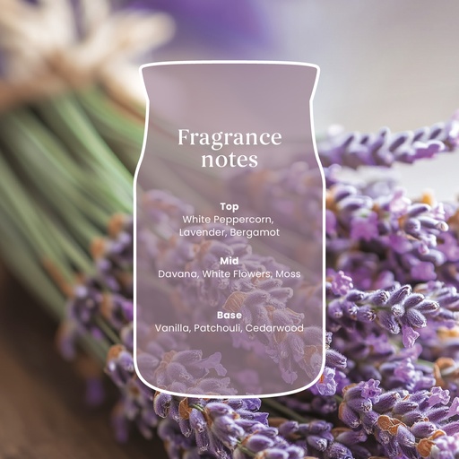 [2671951E] YC Dried Lavender & Oak Medium Jar