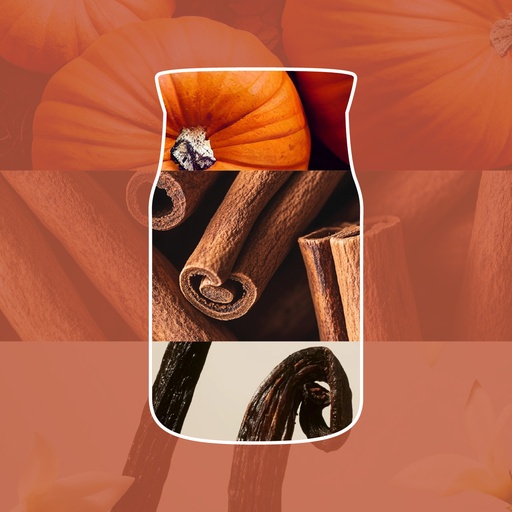 [2671961E] YC Spiced Pumpkin Medium Jar