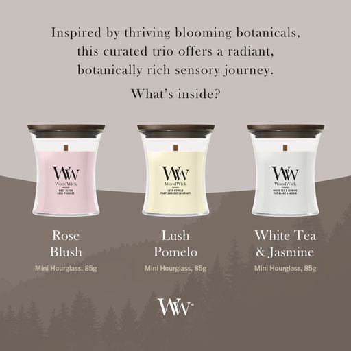 [2252808] WW Deluxe Gift Set 3 Mini Candle Blooming Trio AW26