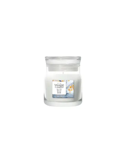 [2244654] YC Silver Birch Small Jar