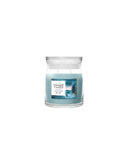 [2244635] YC Winter Night Stars Small Jar