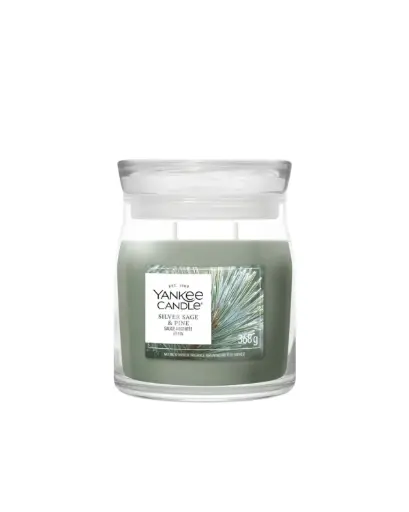 [2236219] YC Silver Sage & Pine Medium Jar 