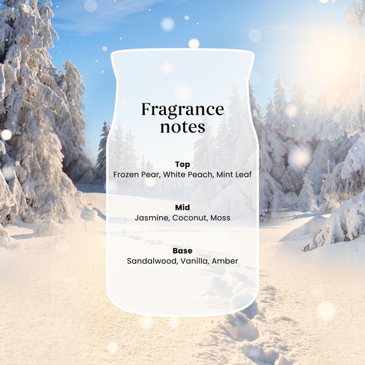 [2262082] YC Winter Walk Large Jar 