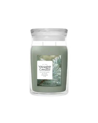 [2236208] YC Silver Sage & Pine Large Jar 